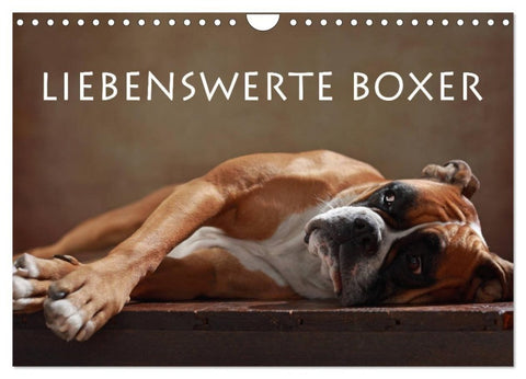 Liebenswerte Boxer (Wandkalender 2027 DIN A4 quer), CALVENDO Monatskalender
