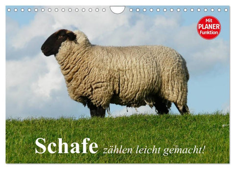 Schafe zählen leicht gemacht! (Wandkalender 2026 DIN A4 quer), CALVENDO Monatskalender