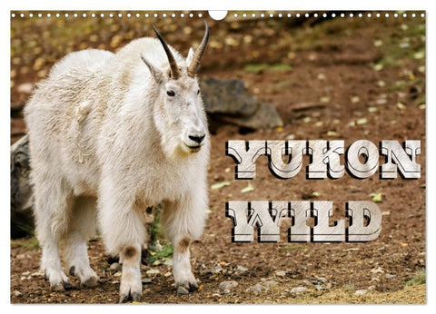Yukon Wild (Wall Calendar 2027 DIN A3 landscape), CALVENDO 12 Month Wall Calendar