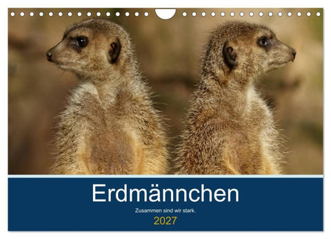 Erdmännchen - Zusammen sind wir stark (Wandkalender 2027 DIN A4 quer), CALVENDO Monatskalender