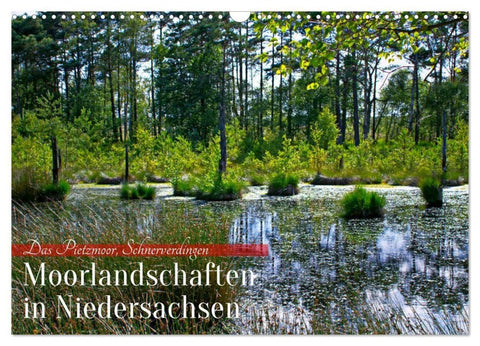 Niedersachsens Moorlandschaften - Das Pietzmoor, Schneverdingen (Wandkalender 2027 DIN A3 quer), CALVENDO Monatskalender