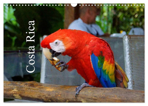 Costa Rica (Wandkalender 2026 DIN A3 quer), CALVENDO Monatskalender