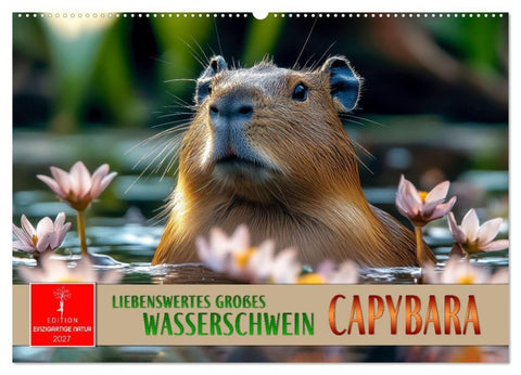 Capybara - liebenswertes großes Wasserschwein (Wandkalender 2027 DIN A2 quer), CALVENDO Monatskalender