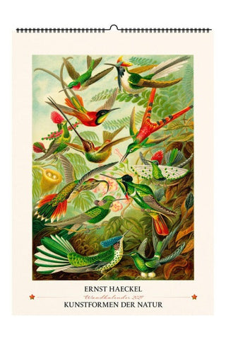 Ernst Haeckel. Kunstformen der Natur. Wandkalender 2027