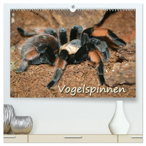 Vogelspinnen (hochwertiger Premium Wandkalender 2027 DIN A2 quer), Kunstdruck in Hochglanz