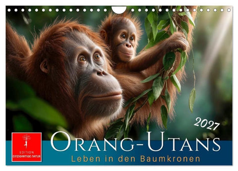 Orang Utans - Leben in den Baumkronen (Wandkalender 2027 DIN A4 quer), CALVENDO Monatskalender