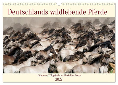 Deutschlands wildlebende Pferde (Wandkalender 2027 DIN A3 quer), CALVENDO Monatskalender