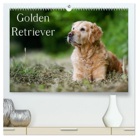 Golden Retriever (hochwertiger Premium Wandkalender 2026 DIN A2 quer), Kunstdruck in Hochglanz