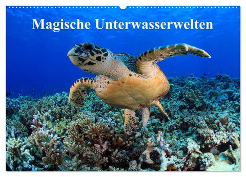 Magische Unterwasserwelten (Wandkalender 2026 DIN A2 quer), CALVENDO Monatskalender