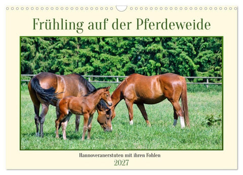 Frühling auf der Pferdeweide (Wandkalender 2027 DIN A3 quer), CALVENDO Monatskalender