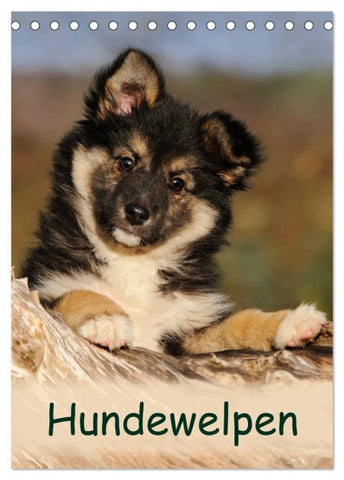 Hundewelpen (Tischkalender 2027 DIN A5 hoch), CALVENDO Monatskalender