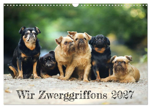 Wir Zwerggriffons 2027 (Wandkalender 2027 DIN A3 quer), CALVENDO Monatskalender