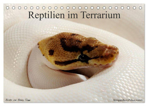 REPTILIEN IM TERRARIUM (Tischkalender 2026 DIN A5 quer), CALVENDO Monatskalender