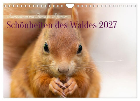 Schönheiten des Waldes (Wandkalender 2027 DIN A4 quer), CALVENDO Monatskalender