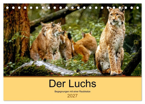 Der Luchs - Begegnungen mit einer Raubkatze (Tischkalender 2027 DIN A5 quer), CALVENDO Monatskalender