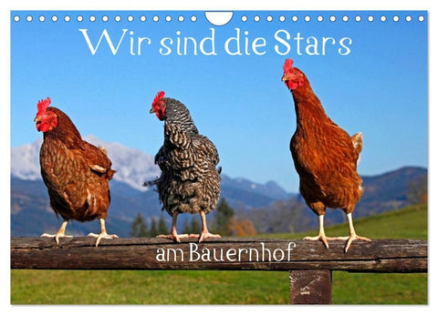 Wir sind die Stars am Bauernhof (Wandkalender 2027 DIN A4 quer), CALVENDO Monatskalender