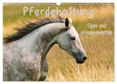 Pferdehaltung Tipps und Wissenswertes (Wandkalender 2027 DIN A3 quer), CALVENDO Monatskalender