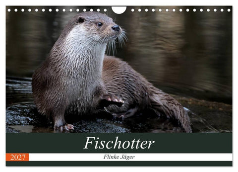 Fischotter, flinke Jäger (Wandkalender 2027 DIN A4 quer), CALVENDO Monatskalender
