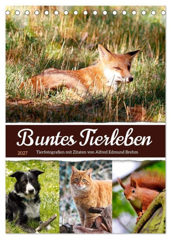 Buntes Tierleben (Tischkalender 2027 DIN A5 hoch), CALVENDO Monatskalender