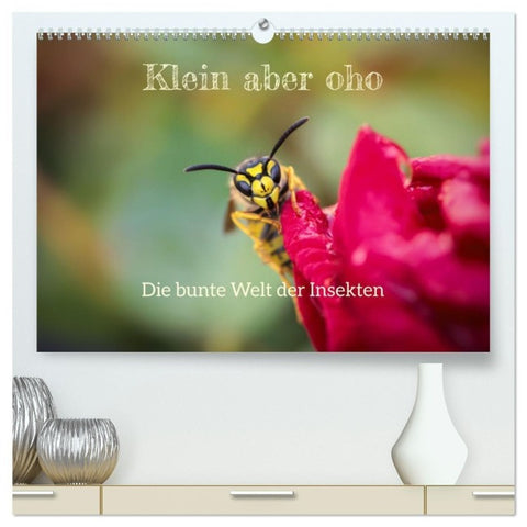Klein aber oho. Die bunte Welt der Insekten (hochwertiger Premium Wandkalender 2027 DIN A2 quer), Kunstdruck in Hochglanz