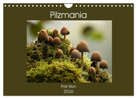 Pilzmania (Wandkalender 2026 DIN A4 quer), CALVENDO Monatskalender