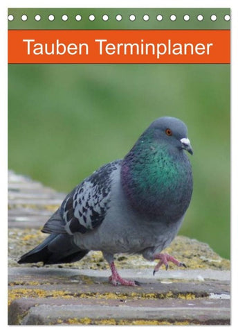 Tauben Terminplaner (Tischkalender 2027 DIN A5 hoch), CALVENDO Monatskalender