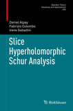 Slice Hyperholomorphic Schur Analysis