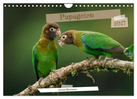 Papageien (Wandkalender 2027 DIN A4 quer), CALVENDO Monatskalender