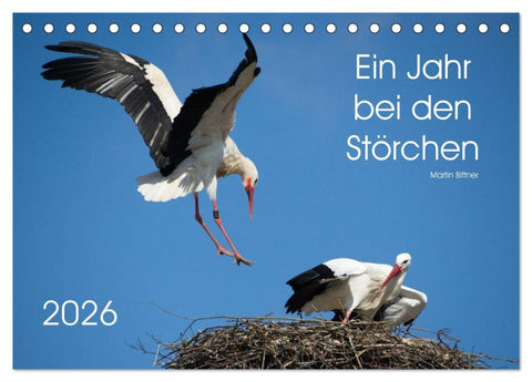 Ein Jahr bei den Störchen (Tischkalender 2026 DIN A5 quer), CALVENDO Monatskalender