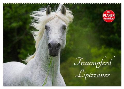 Traumpferd Lipizzaner (Wandkalender 2026 DIN A2 quer), CALVENDO Monatskalender