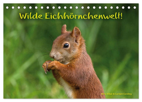 Wilde Eichhörnchenwelt! (Tischkalender 2026 DIN A5 quer), CALVENDO Monatskalender