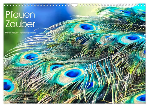 Pfauen Zauber (Wandkalender 2027 DIN A3 quer), CALVENDO Monatskalender