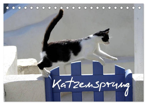 Katzensprung (Tischkalender 2027 DIN A5 quer), CALVENDO Monatskalender