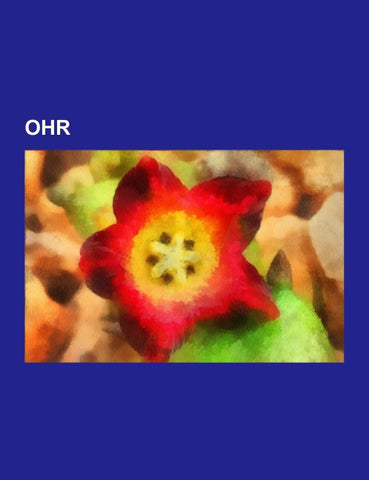 Ohr