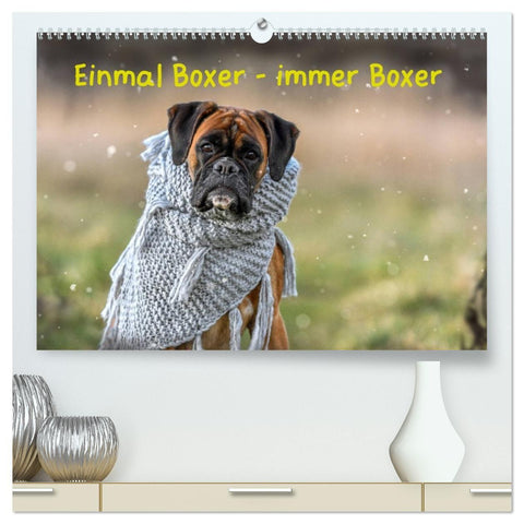 Einmal Boxer - immer Boxer (hochwertiger Premium Wandkalender 2027 DIN A2 quer), Kunstdruck in Hochglanz