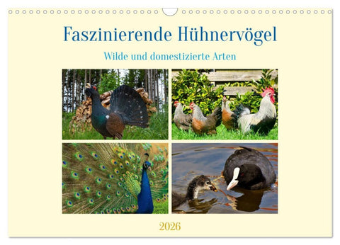 Faszinierende Hühnervögel (Wandkalender 2026 DIN A3 quer), CALVENDO Monatskalender