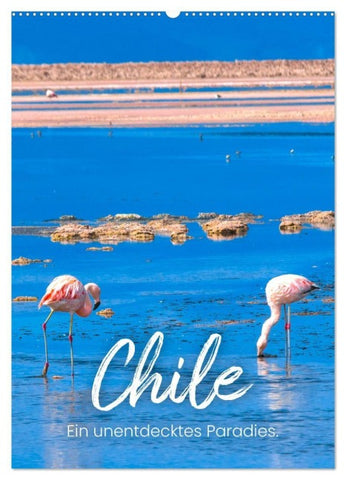 Chile - Ein unentdecktes Paradies. (Wandkalender 2027 DIN A2 hoch), CALVENDO Monatskalender