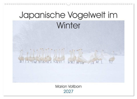 Japanische Vogelwelt im Winter (Wandkalender 2027 DIN A2 quer), CALVENDO Monatskalender