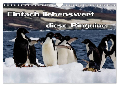 Einfach liebenswert diese Pinguine (Wandkalender 2027 DIN A4 quer), CALVENDO Monatskalender