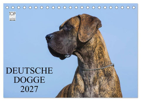 Deutsche Dogge 2027 (Tischkalender 2027 DIN A5 quer), CALVENDO Monatskalender
