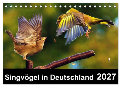 Singvögel in Deutschland (Tischkalender 2027 DIN A5 quer), CALVENDO Monatskalender