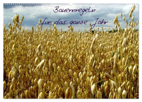 Bauernregeln für das ganze Jahr (Wandkalender 2026 DIN A2 quer), CALVENDO Monatskalender