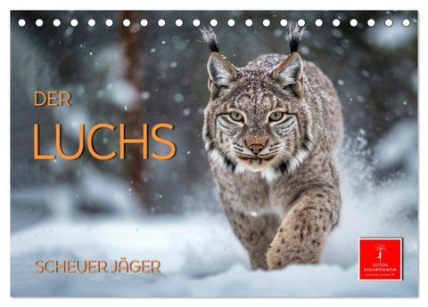 Der Luchs - scheuer Jäger (Tischkalender 2026 DIN A5 quer), CALVENDO Monatskalender