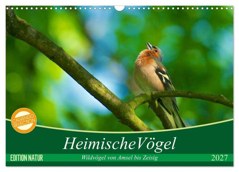 Heimische Vögel (Wandkalender 2027 DIN A3 quer), CALVENDO Monatskalender