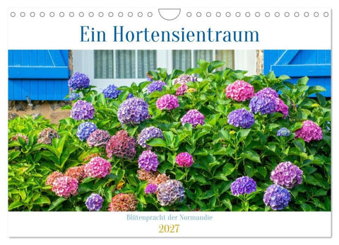 Ein Hortensientraum (Wandkalender 2027 DIN A4 quer), CALVENDO Monatskalender