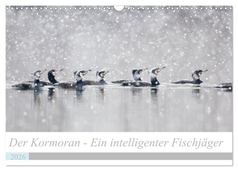 Der Kormoran - Ein intelligenter Fischjäger (Wandkalender 2026 DIN A3 quer), CALVENDO Monatskalender