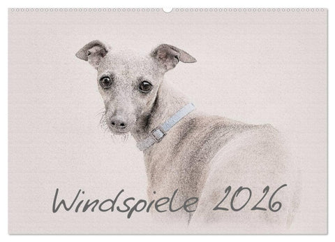 Windspiele 2026 (Wandkalender 2026 DIN A2 quer), CALVENDO Monatskalender
