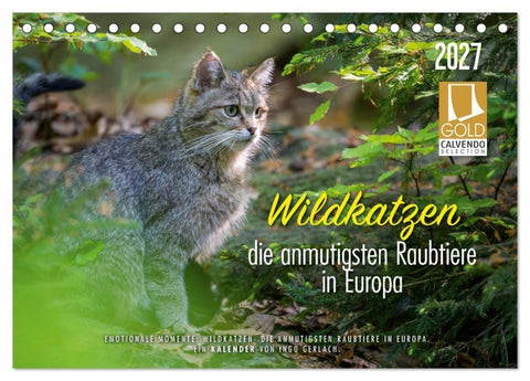 Wildkatzen - die anmutigsten Raubiere in Europa. (Tischkalender 2027 DIN A5 quer), CALVENDO Monatskalender
