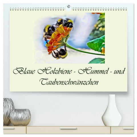 Blaue Holzbiene - Hummel - und Taubenschwänzchen. (hochwertiger Premium Wandkalender 2026 DIN A2 quer), Kunstdruck in Hochglanz