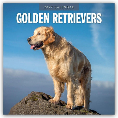 Golden Retrievers – Golden Retriever 2027 – 16-Monatskalender